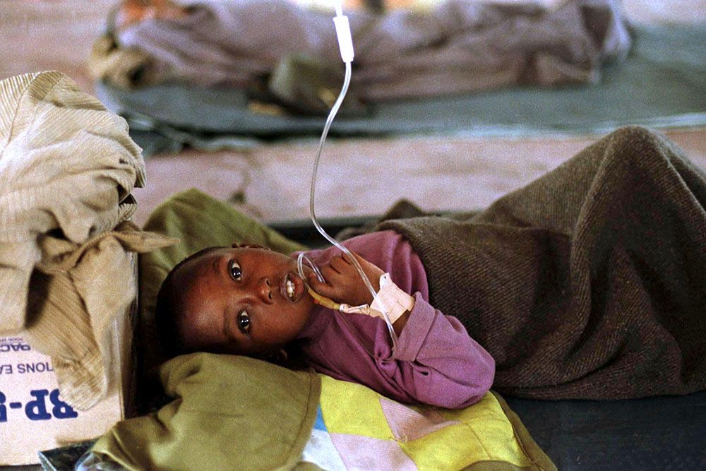 Afrikada heyvandan insana keçən xəstəliklərin sayı çoxalır  - ÜST