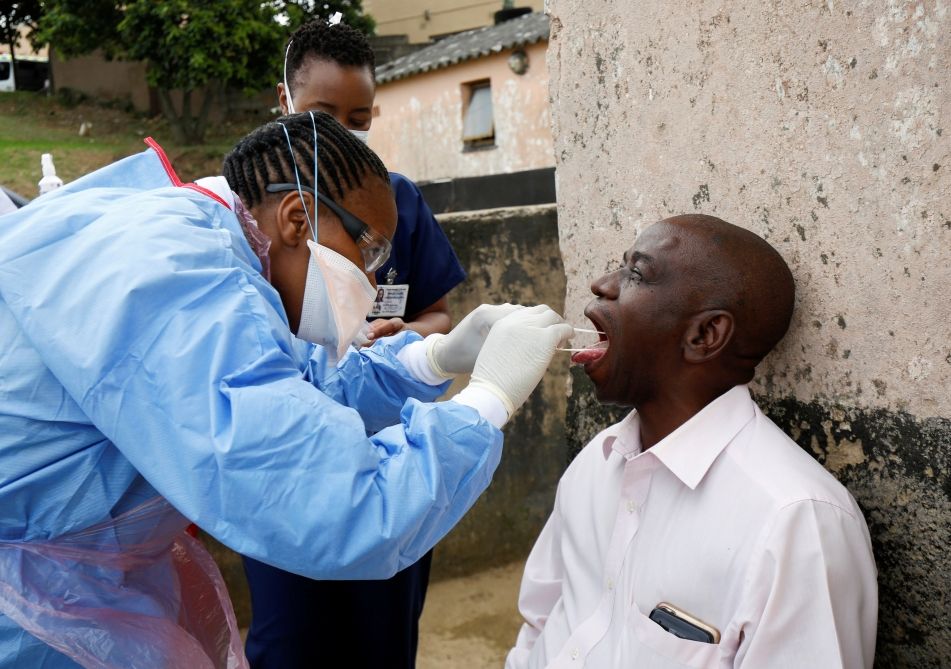 ÜST Afrikada yeni epidemiya elan etdi  - Yarasalardan xəstəlik keçir