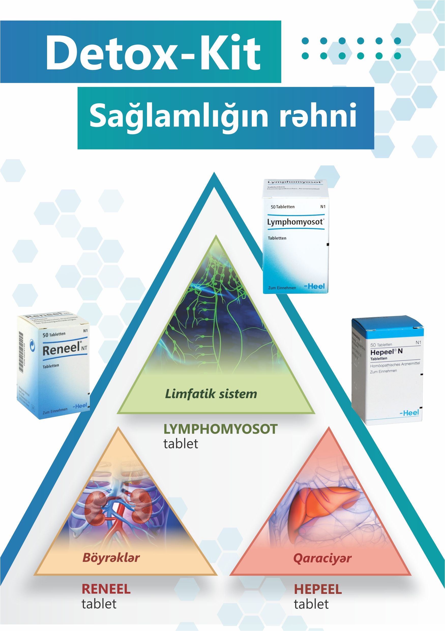 Sağlamlığa gedən yol  - Bioloji detoksikasiya necə aparılır?