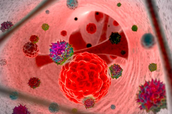 Herpes xərçəngi müalicə edir    - Yeni metod