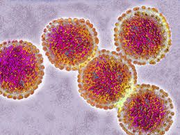 İnsan immun sisteminə qaşı 2 virus birləşdi  - Elmdə ilk
