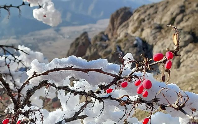 Azərbaycanda  20 ildə ən çox qar bu il yağıb   - Umayra Tağıyeva