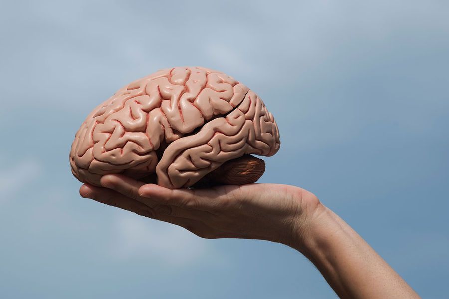 İnsan beyni neçə yaşa kimi inkişaf edir? 