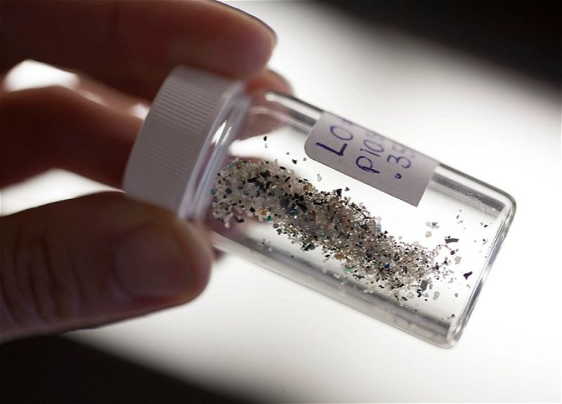 Dünyada ilk  – İnsan ürəyində mikroplastik tapıldı