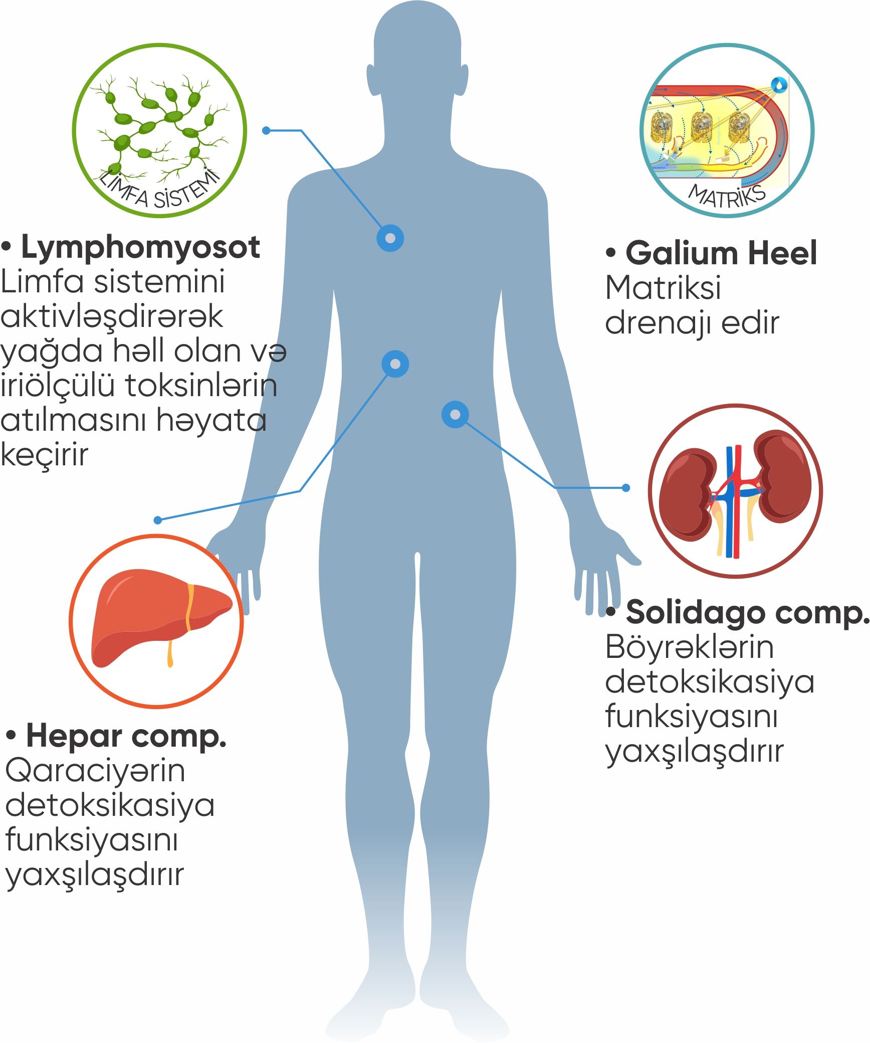 Azərbaycanda ilk hamiləliyə hazırlıq müalicə proqramı 