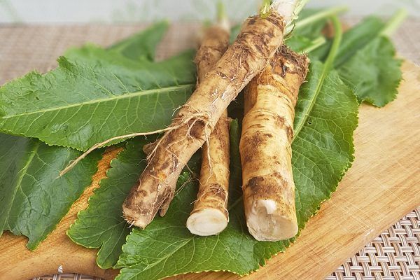 Tərkibində uzunömürlük vitamini olan bitki  açıqlandı