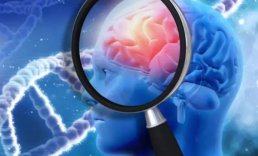 Bunları süfrənizdən əskik etməyin! –  Alzheimerdən və Parkinsondan qoruyur