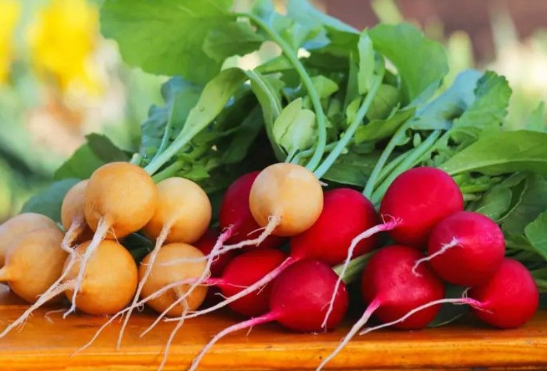Turp qaz və köp yaratmaması üçün  belə yeyilməlidir 
