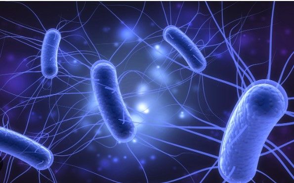 İngiltərədə epidemiya təşvişi:  ölümcül virus sürətlə yayılır 