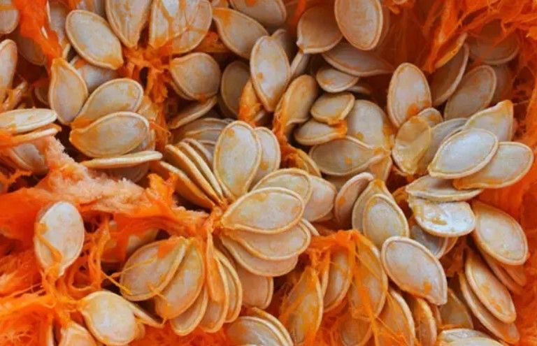 Xərçəngdən qoruyan möcüzə:  “sitosterol” tərkibli qidalar 