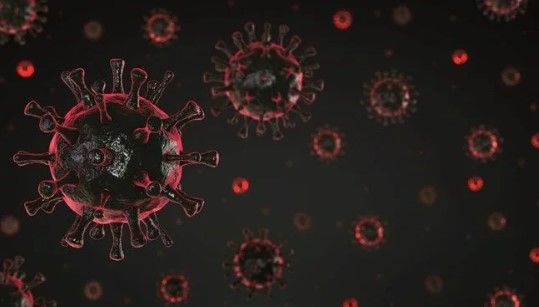 Yeni qiyamət ssenarisi:  göbələklər insanlığın sonunu gətirəcək