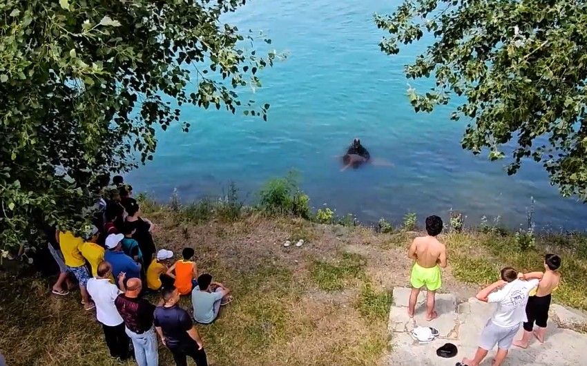 Həyat və sağlamlıq üçün ciddi təhlükədir -  Nazirlikdən XƏBƏRDARLIQ - VİDEO