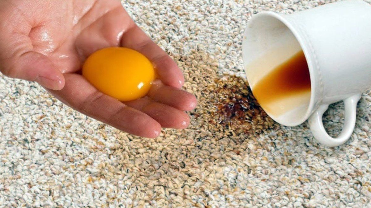 Xalçadakı çay ləkələrini yox edir -  1 yumurta kifayətdir