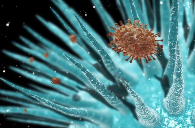 50 min illik virus oyanır  - Təhlükə