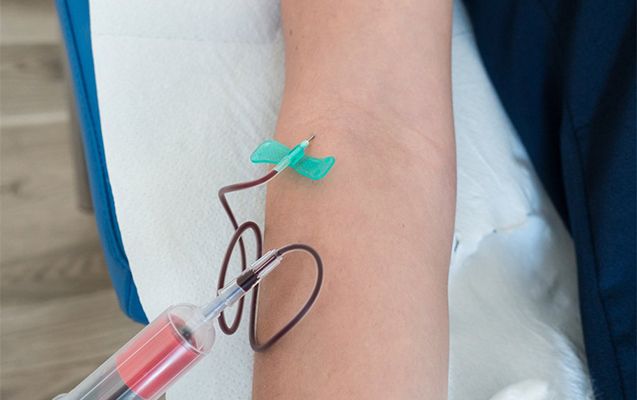 Çindən gətirilən qanalma kəpənəklərinin  satışı qadağan edildi