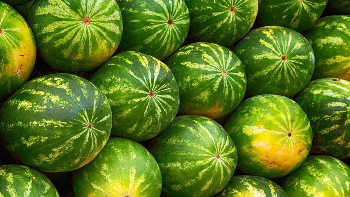 Qarpız aeçərkən bunlara diqqət edin! 