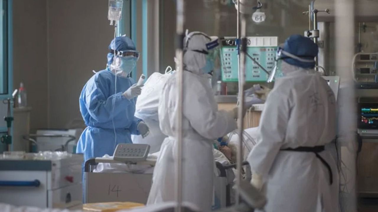 Melioidoz epidemiyası 20 nəfərin həyatına son qoydu 
