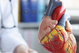 Stent qoyulan xəstələrin etdiyi səhvlər  – Kardioloq xəbərdarlıq edir