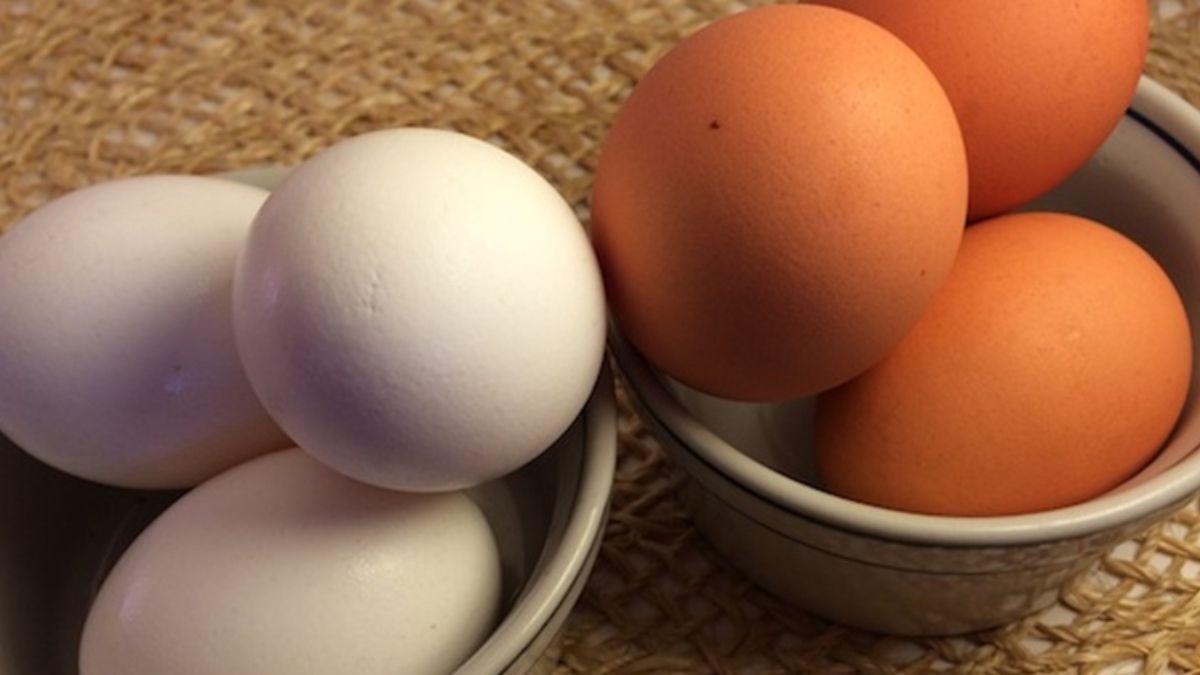 Sarı, yoxsa ağ? -  Hansı yumurta daha faydalıdır? 