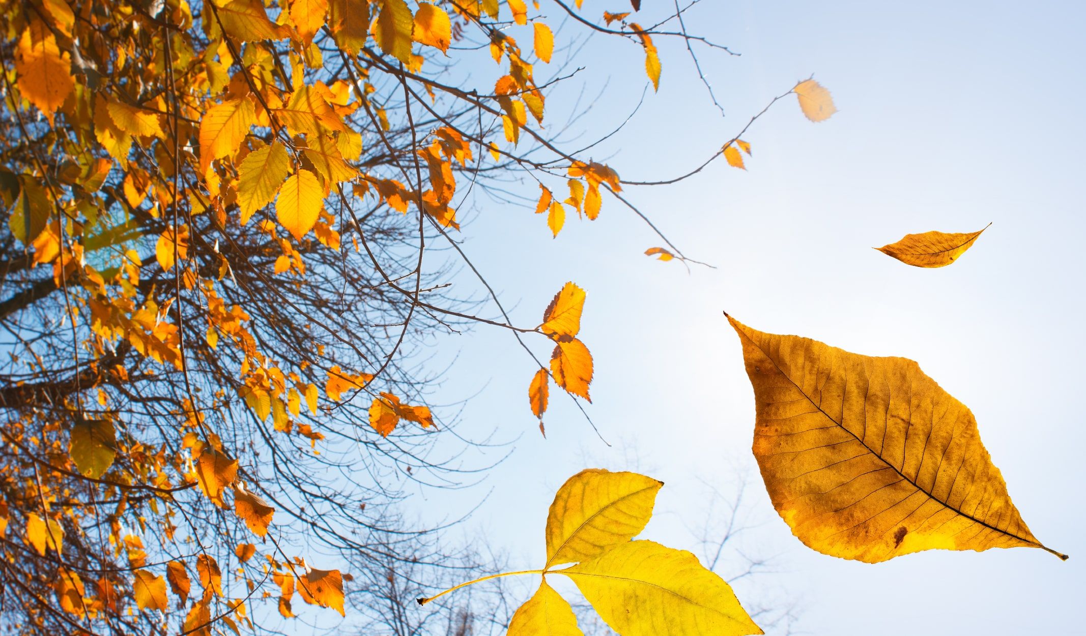Oktyabrın ilk günü  hava necə olacaq?