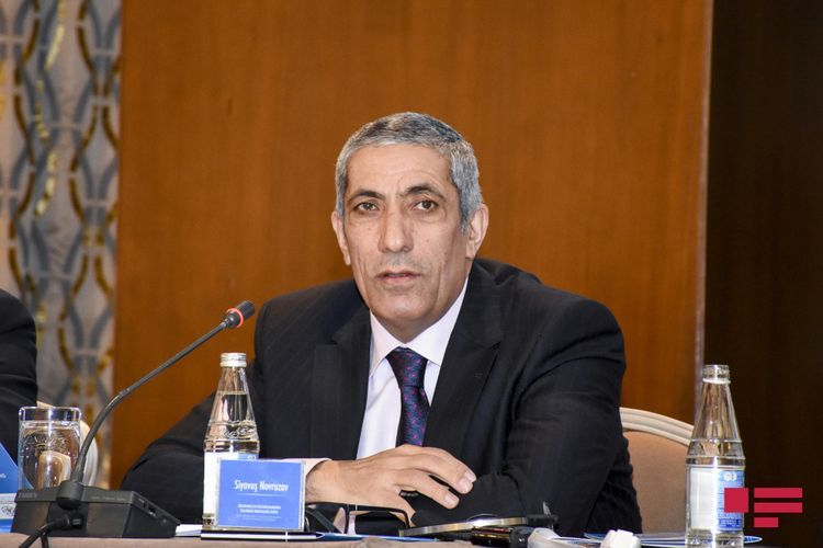 Hər küçədə 20 aptek var, amma... - Millət vəkili