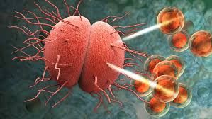 ÜST-dən SOS:  - Antibiotiklərə təslim olmayan infeksiyalar güclənir