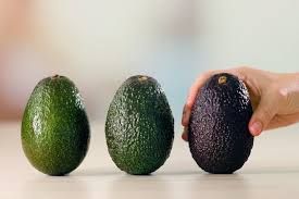 Qaralmış avokadonu yemək olarmı? 