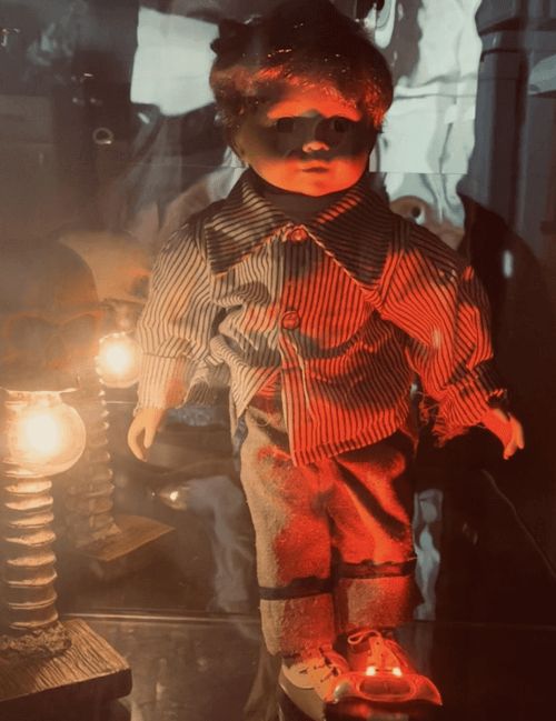 Lənətlənmiş  kuklanı şüşə altında saxlayırlar  