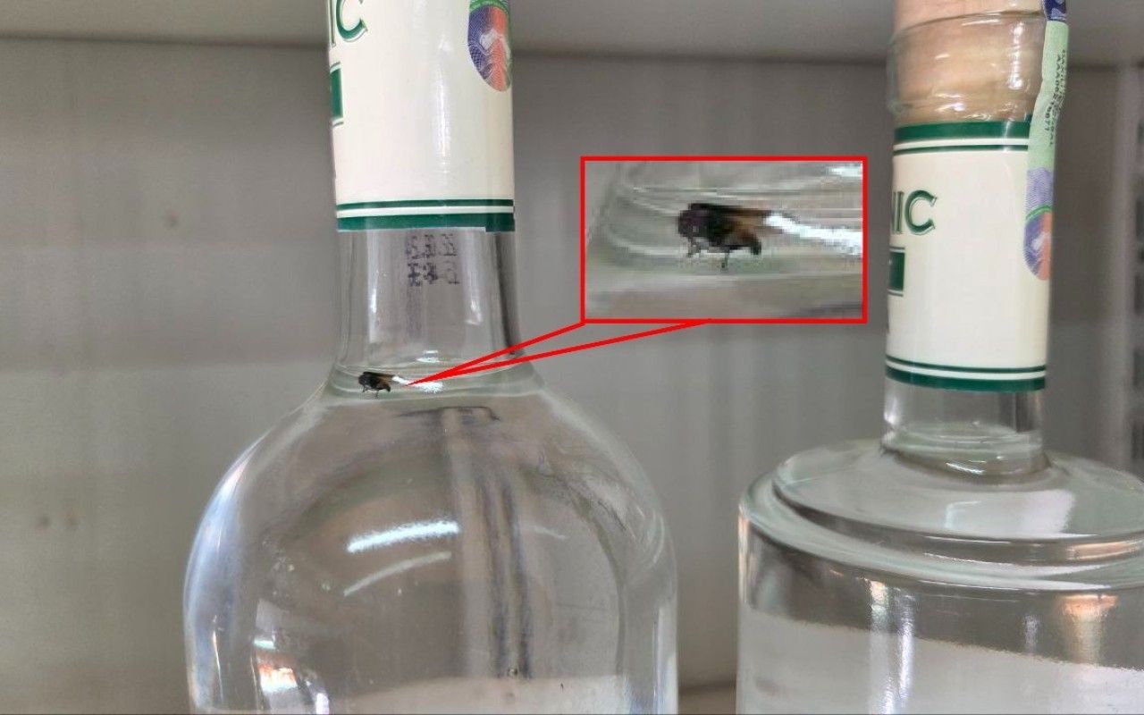 Saxta içkidən milçək çıxdı -  FOTO
