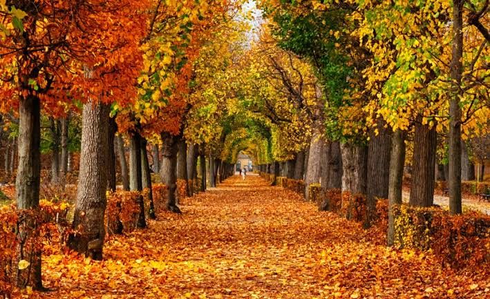 Sabah hava  necə olacaq?