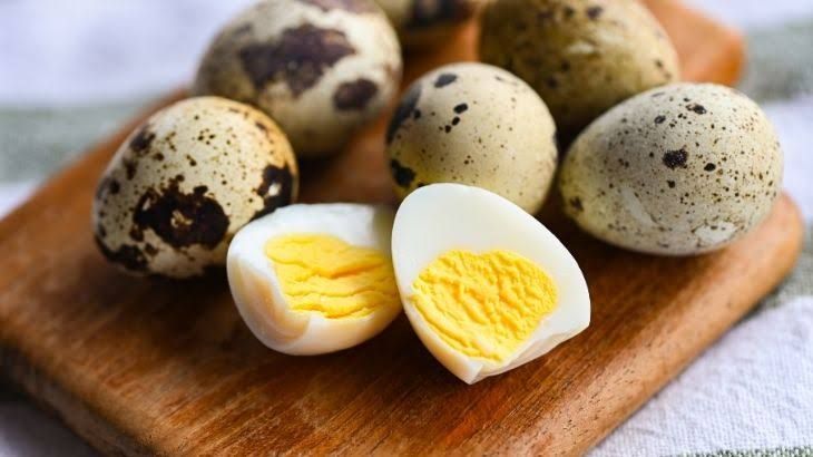 Bildirçin yumurtası uşağın nitqini açır? -  Loqopeddən cavab