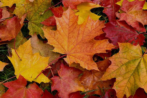 Sabah hava  necə olacaq?