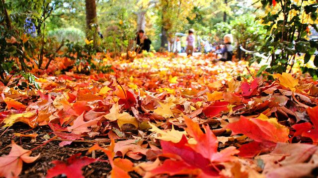 Sabah hava necə olacaq? 