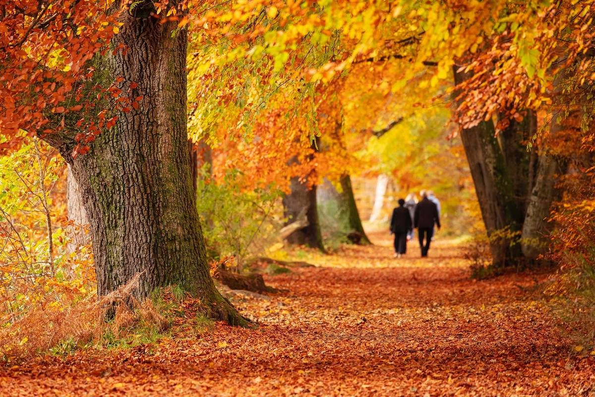 Sabah hava necə olacaq? 