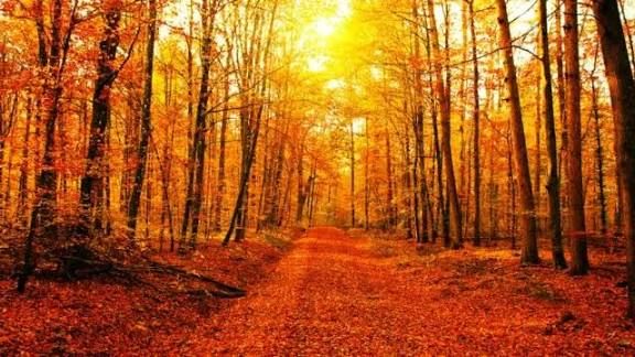 Sabahın hava proqnozu 