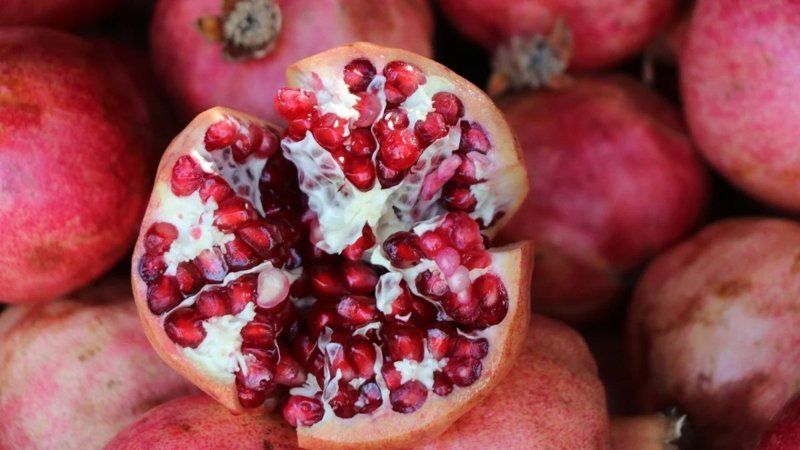 Nardakı ağ pərdə özü qədər faydalıdır 