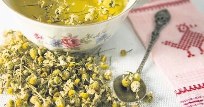 Zehni gücləndirən  5 bitki çayı