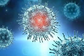 Hazırda dominant qrip Honkonq qripidir  – ÜST