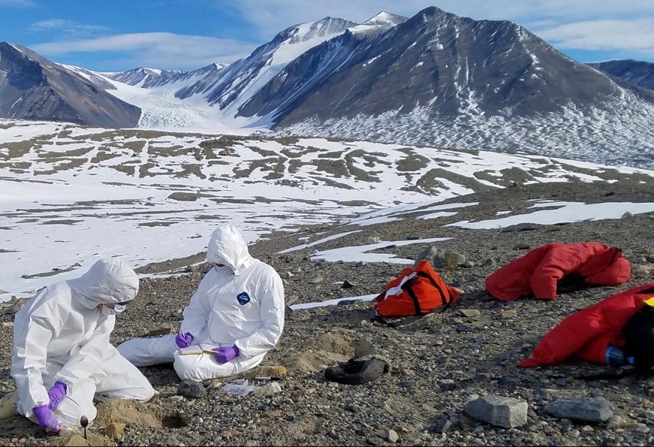 Yeni pandemiya:  Vəhşi heyvanlar insan məskənlərinə yaxınlaşacaq 