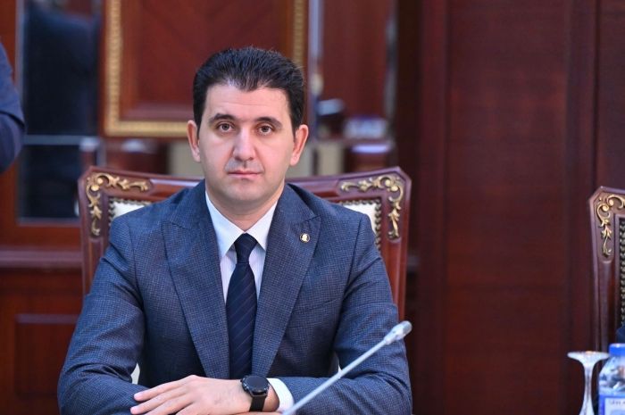 Xəstəxanalarda gördüyüm mənzərə ürəkaçan deyil -  Deputat