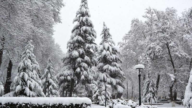 Sabah hava necə olacaq? 