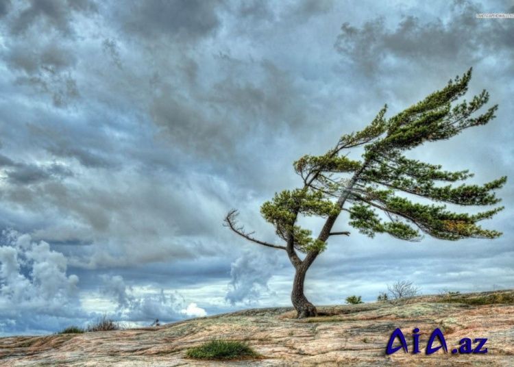Hava ilə bağlı Sarı xəbərdarlıq 