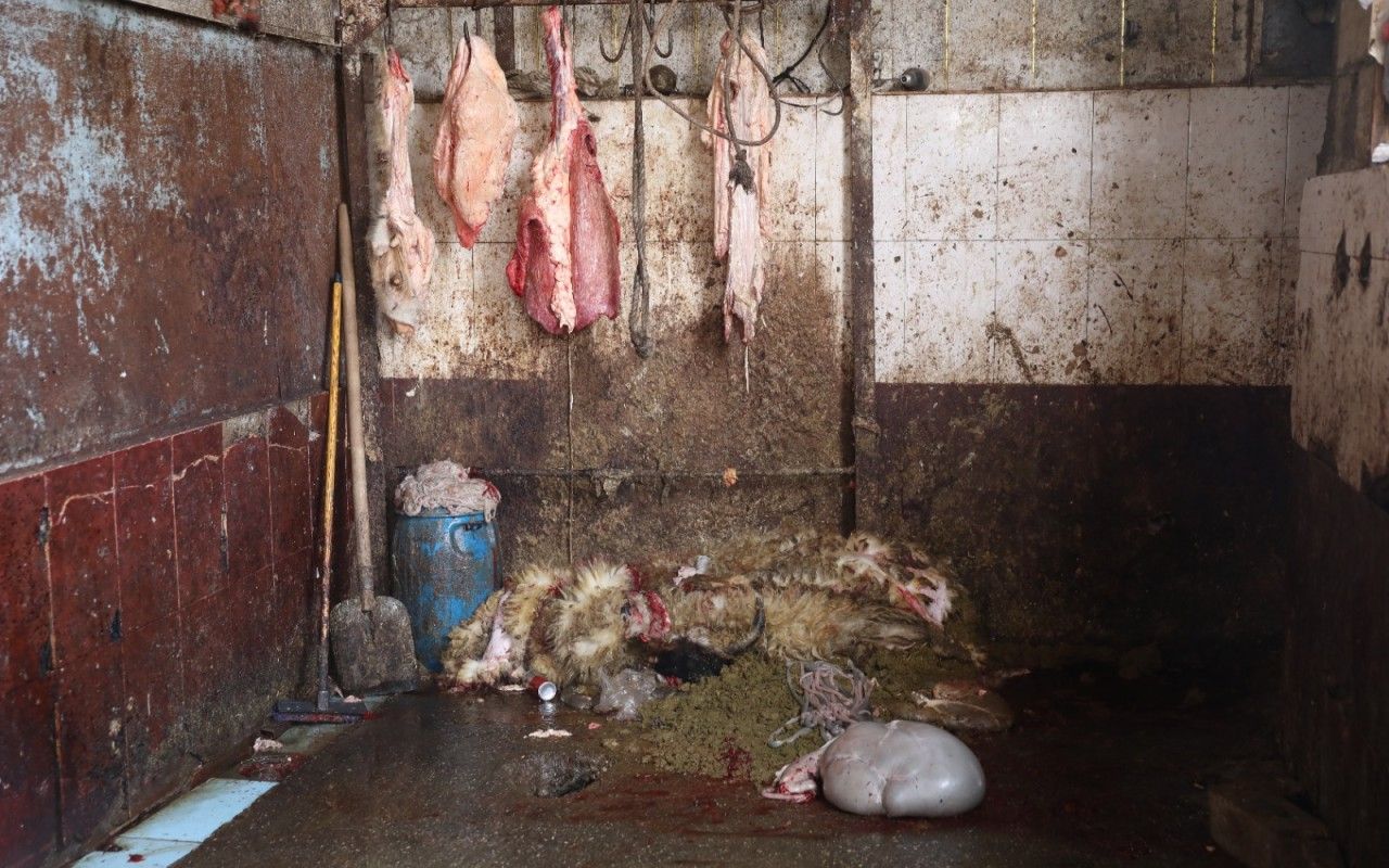 Bu bazarda ət məhsulları antisanitar şəraitdə satılırmış -  VİDEO