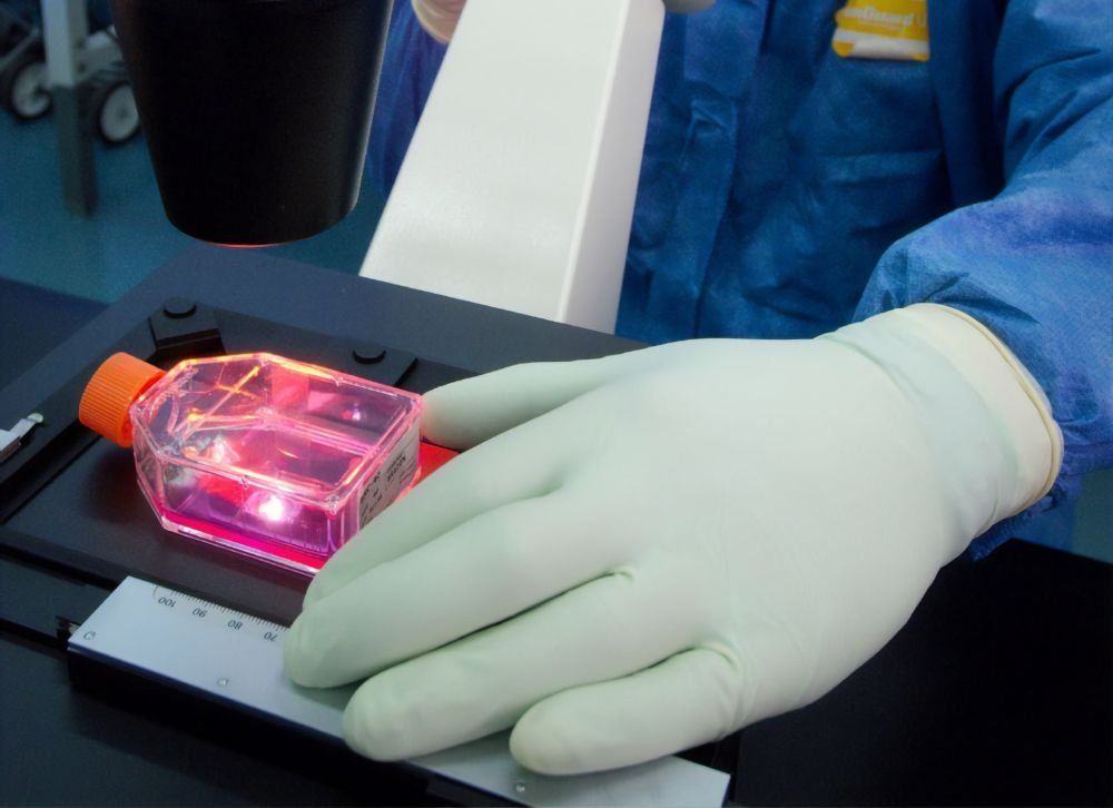 İmmun hüceyrələrini normallaşdırmağın    yolu tapıldı