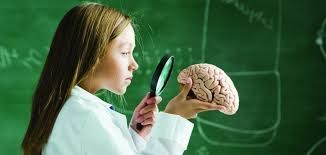 Uşaq beyninin həddindən artıq yüklənməsi   fəsadlar açır