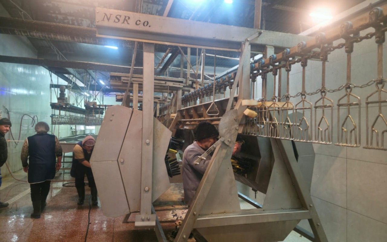 Novxanıdakı kəsim məntəqəsində nöqsanlar aşkarlandı -  FOTO