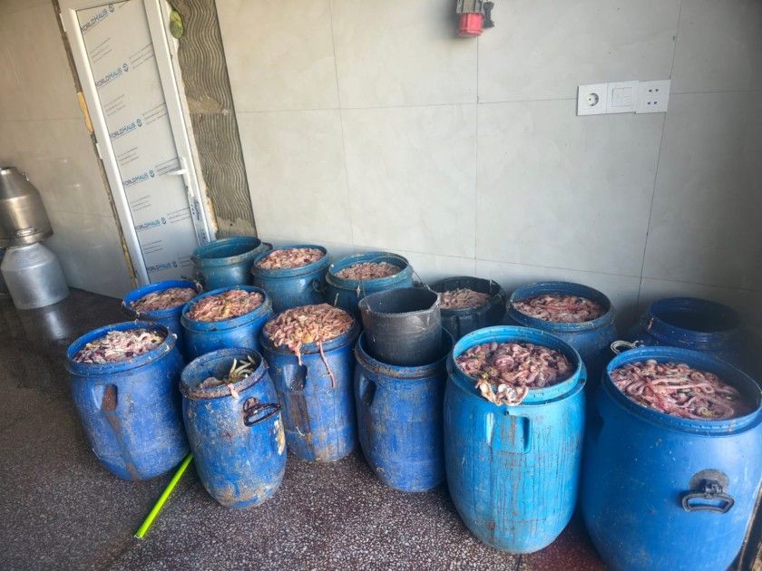 Novxanıdakı kəsim məntəqəsində nöqsanlar aşkarlandı -  FOTO