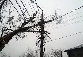 Elektrik naqillərinin, hündür ağacların altında dayanmayın!  