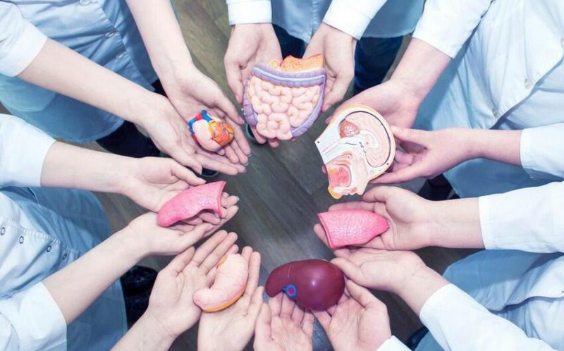 Azərbaycanda orqanlarını bağışlayanların    sayı 1200-ü keçdi