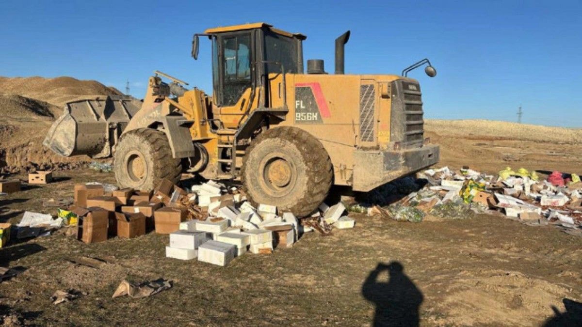 Qurudulmuş yemiş və halvalarda uyğunsuzluq aşkarlandı -  FOTO